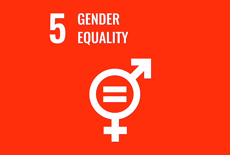 Gender Equality Graphic