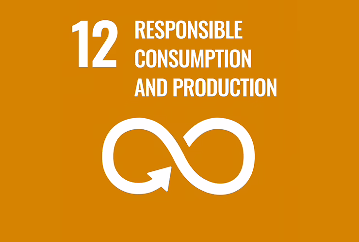 Responsible Consumption Graphic