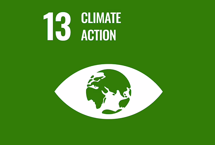 Climate Action Graphic